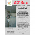 Срочное объявление!